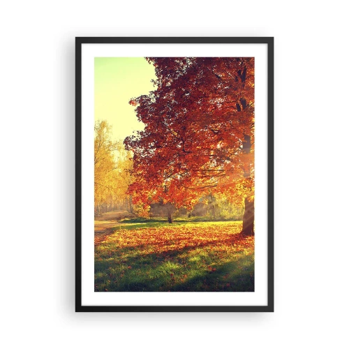 Pôster com moldura preta - Parque de outono com uma árvore com folhas douradas ao sol - 50x70cm - O vermelho é lindo - Decoração de parede moderna para a sala de estar e quarto ARTTOR