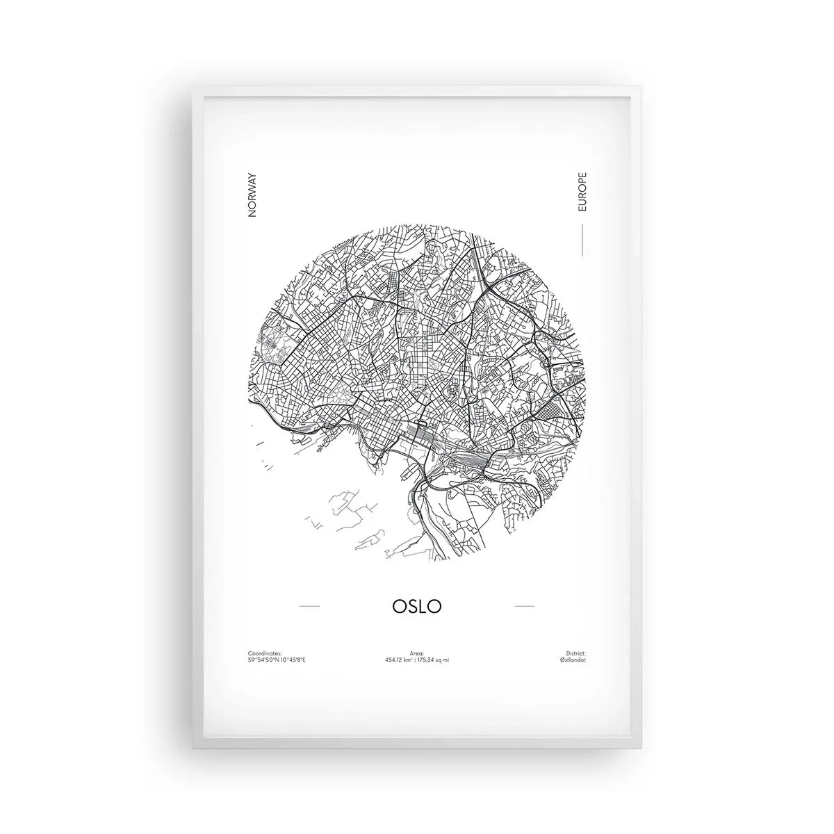 Pôster em moldura branca - Anatomia de Oslo - 61x91 cm