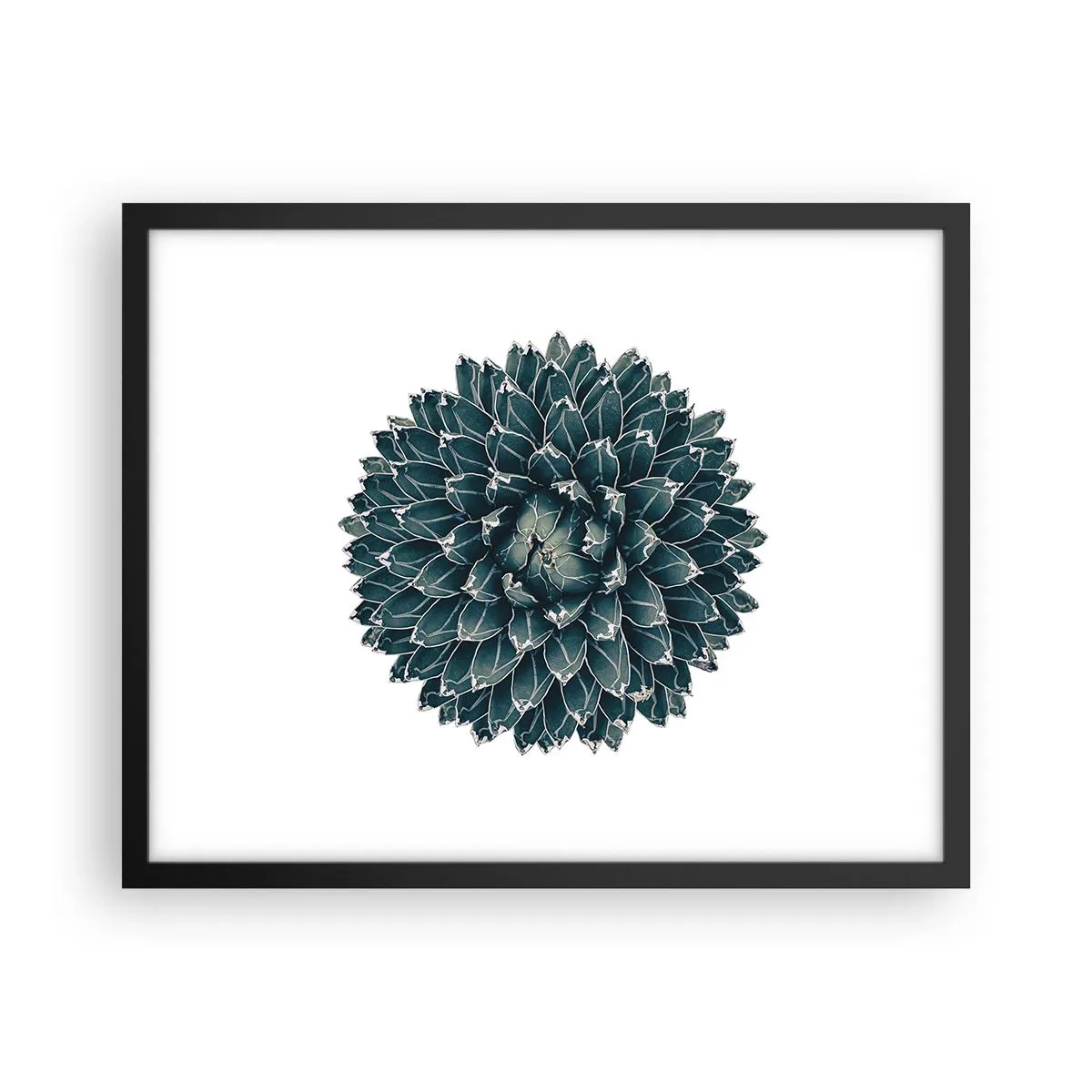 Pôster com moldura preta - Estrela do Deserto - 50x40 cm