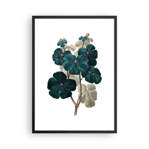 Pôster com moldura preta - Ilustração botânica com folhas verde-escuras sobre fundo claro - 50x70cm - Do antigo herbário - Decoração de parede moderna para a sala de estar e quarto ARTTOR