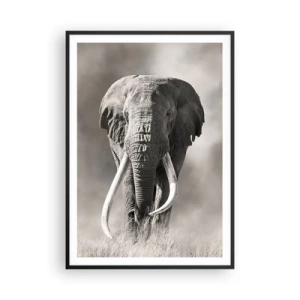 Pôster com moldura preta - Patriarca africano - 70x100 cm