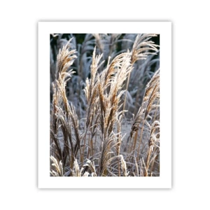 Pôster - Decorado com a geada - 40x50 cm