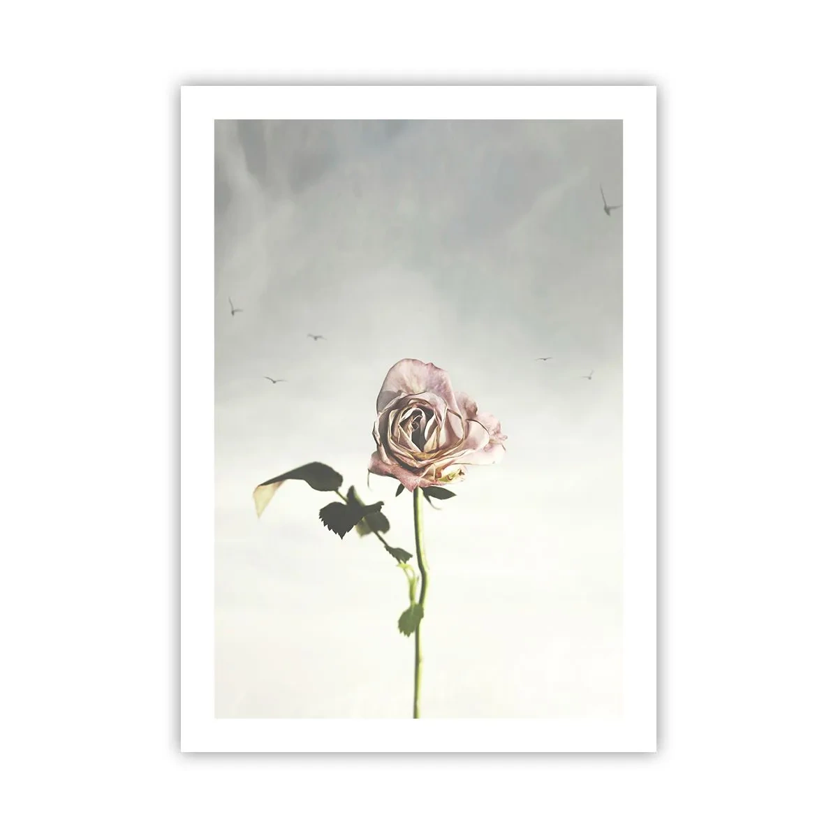 Pôster - Boas-vindas da primavera  - 50x70 cm