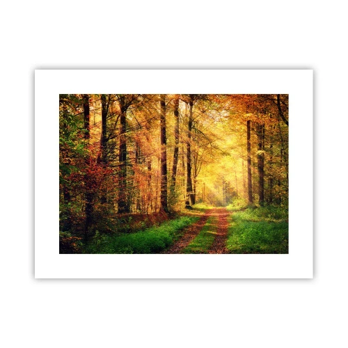 Pôster - Silêncio dourado da floresta - 40x30 cm
