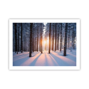 Pôster - Preto no branco - 70x50 cm