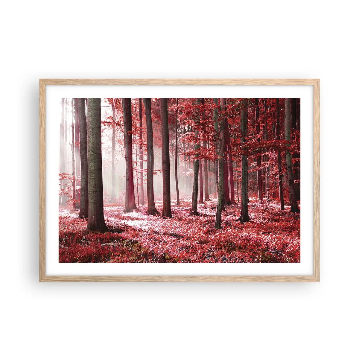 Pôster com moldura de carvalho claro - O vermelho também é belo - 70x50 cm