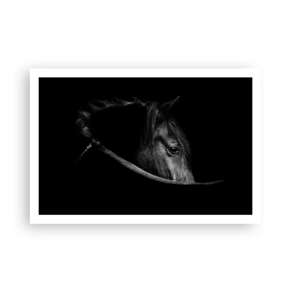 Pôster - Príncipe Negro - 91x61 cm