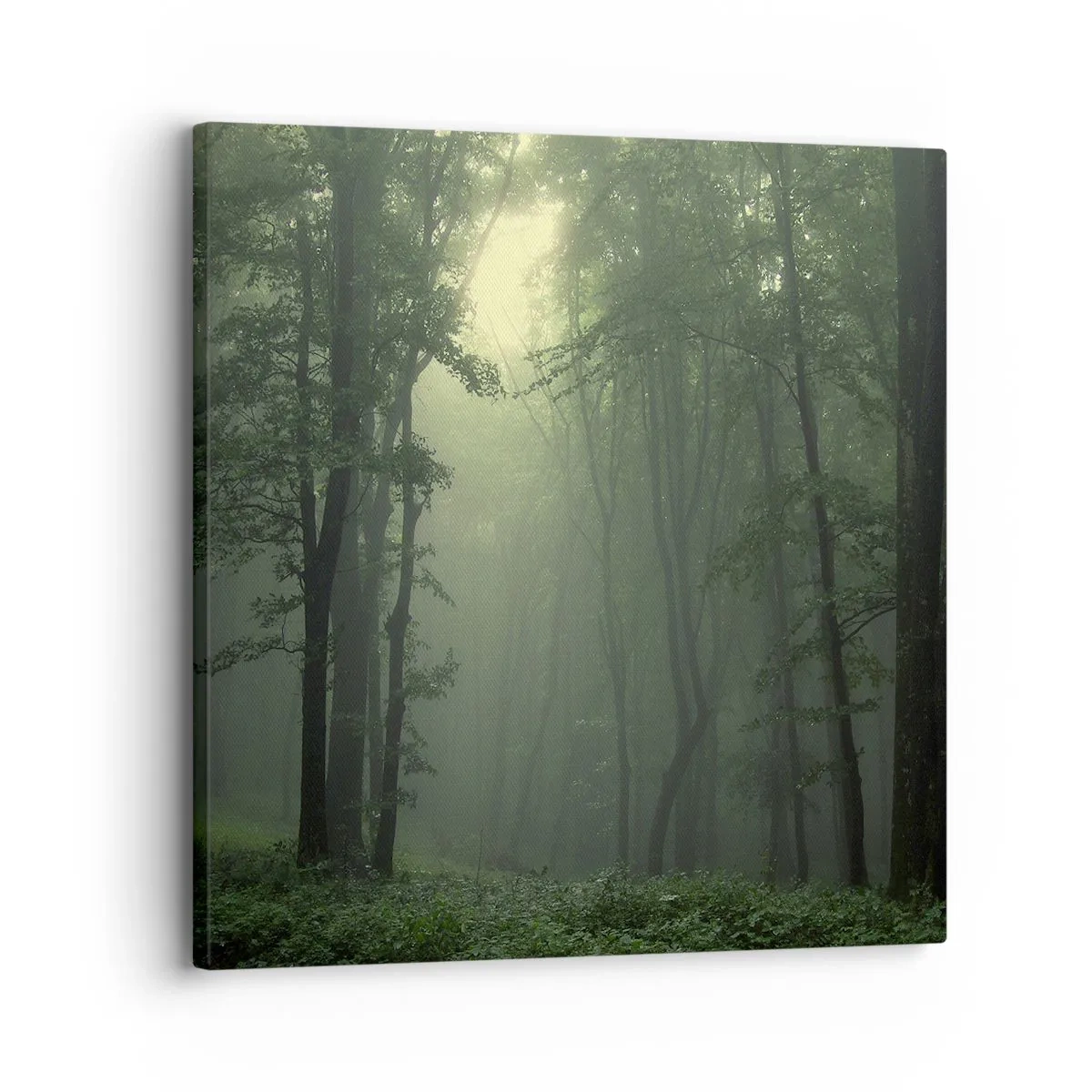 Quadro em tela - Antes de acordar - 30x30 cm