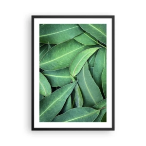 Pôster com moldura preta - Folhas verdes dispostas em uma composição densa - 50x70cm - Suculentas e frescas - Decoração de parede moderna para a sala de estar e quarto ARTTOR
