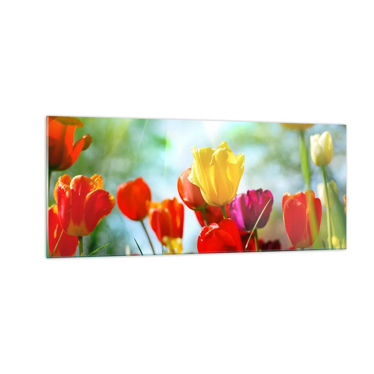 Quadro em vidro - Todas as cores do sol - 100x40 cm
