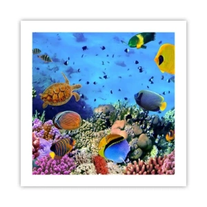 Pôster - E o que sabemos sobre a vida... - 50x50 cm