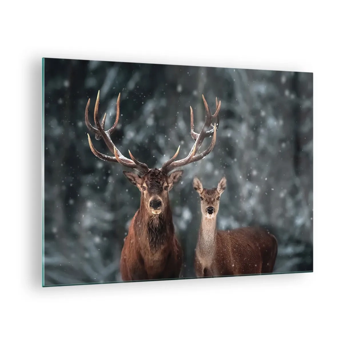 Quadro em vidro - Um veado e uma corça em uma floresta de inverno coberta de neve - 70x50cm - O senhor da floresta com sua esposa - Decoração de parede moderna para a sala de estar e quarto ARTTOR
