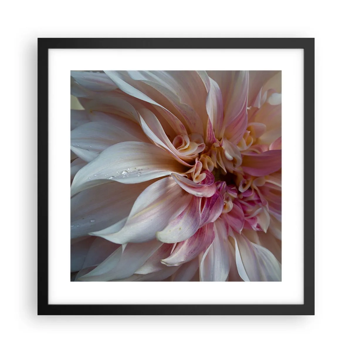 Pôster com moldura preta - Frescor florescente - 40x40 cm