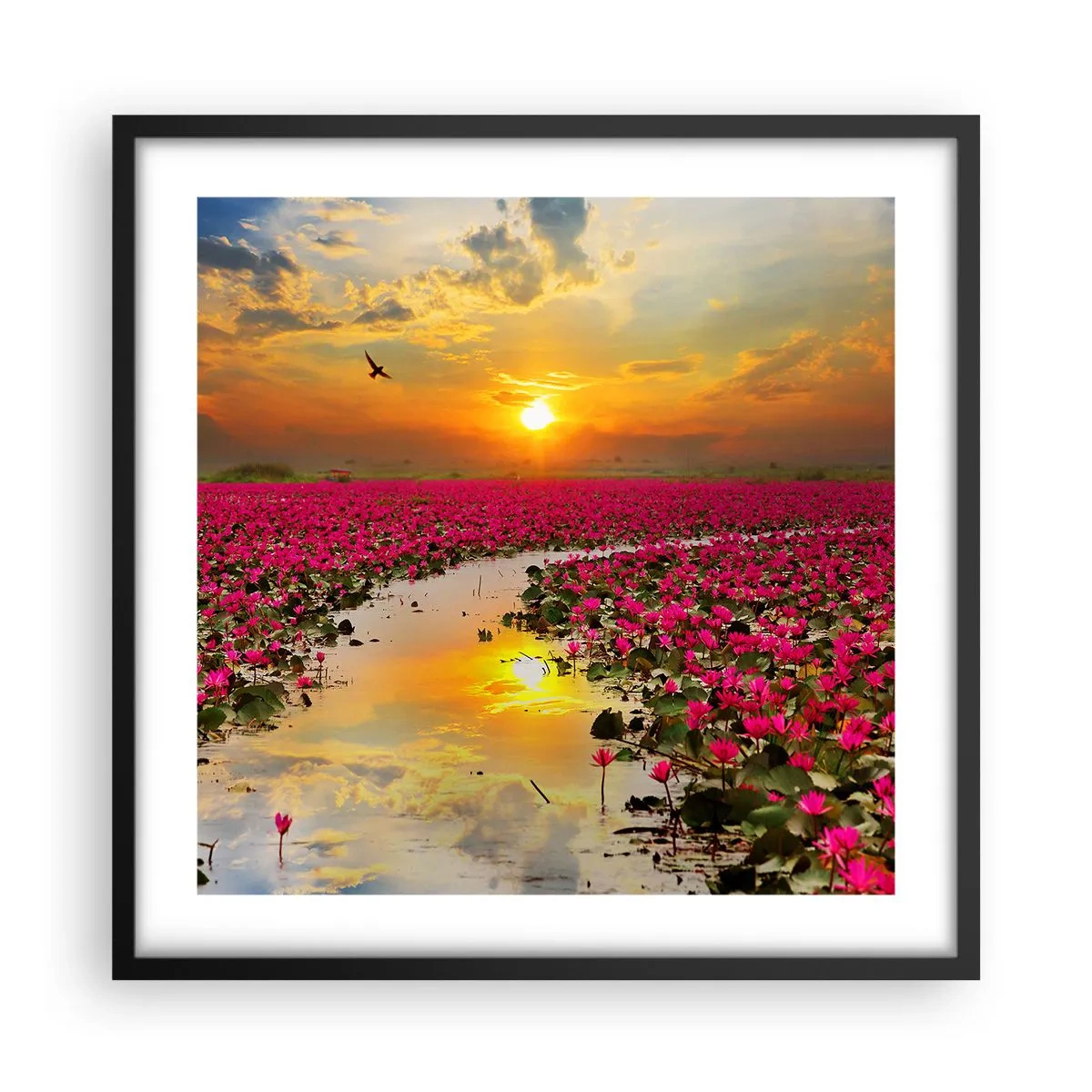 Pôster com moldura preta - A vida secreta do lago - 50x50 cm