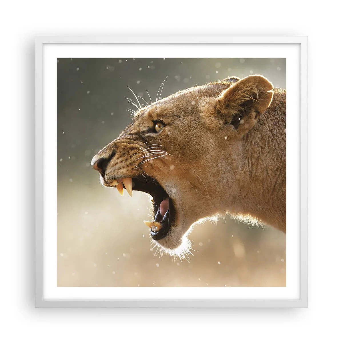 Pôster em moldura branca - Tente não ouvir - 60x60 cm