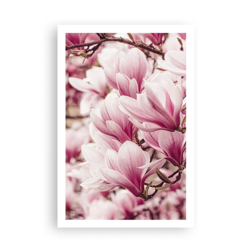 Pôster - A primavera é rosa - 61x91 cm