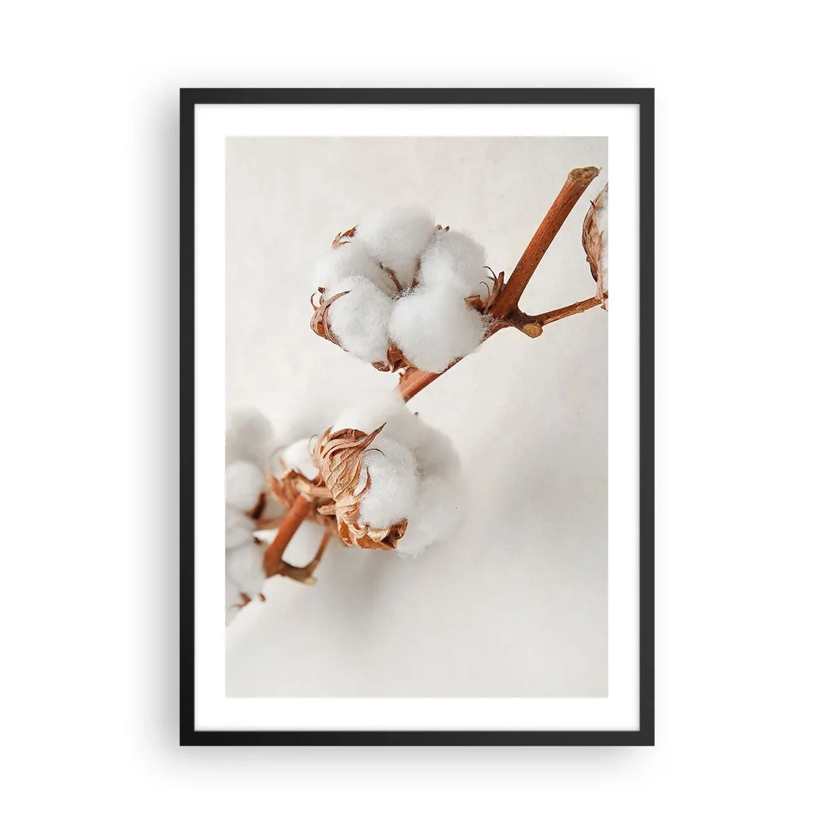Pôster com moldura preta - Delicados galhos de algodão em um fundo claro - 50x70cm - Apenas acaricie - Decoração de parede moderna para a sala de estar e quarto ARTTOR