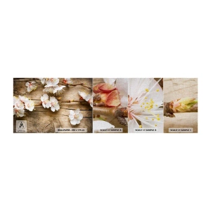 Amostra de papel de parede Premium Canvas - E a primavera chegou - Flores, Galho com flores, Natureza - 100x30 cm
