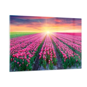 Quadro em vidro - Quinta da Beleza - 120x80 cm