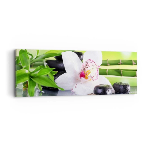 Quadro em tela - Frescor e vigor - 90x30 cm