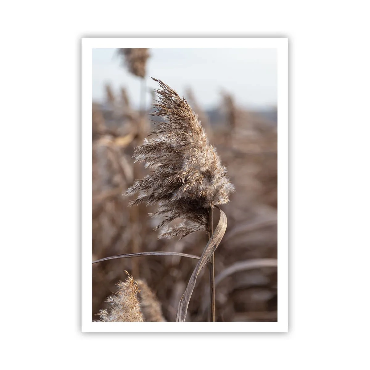 Pôster - É hora de voar com o vento - 70x100 cm