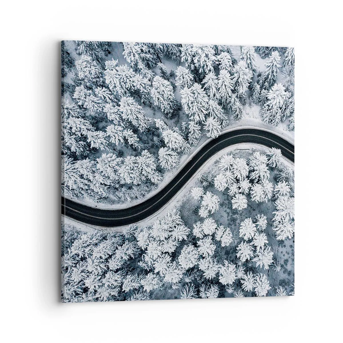 Quadro em tela - Pelaa floresta no inverno - 70x70 cm