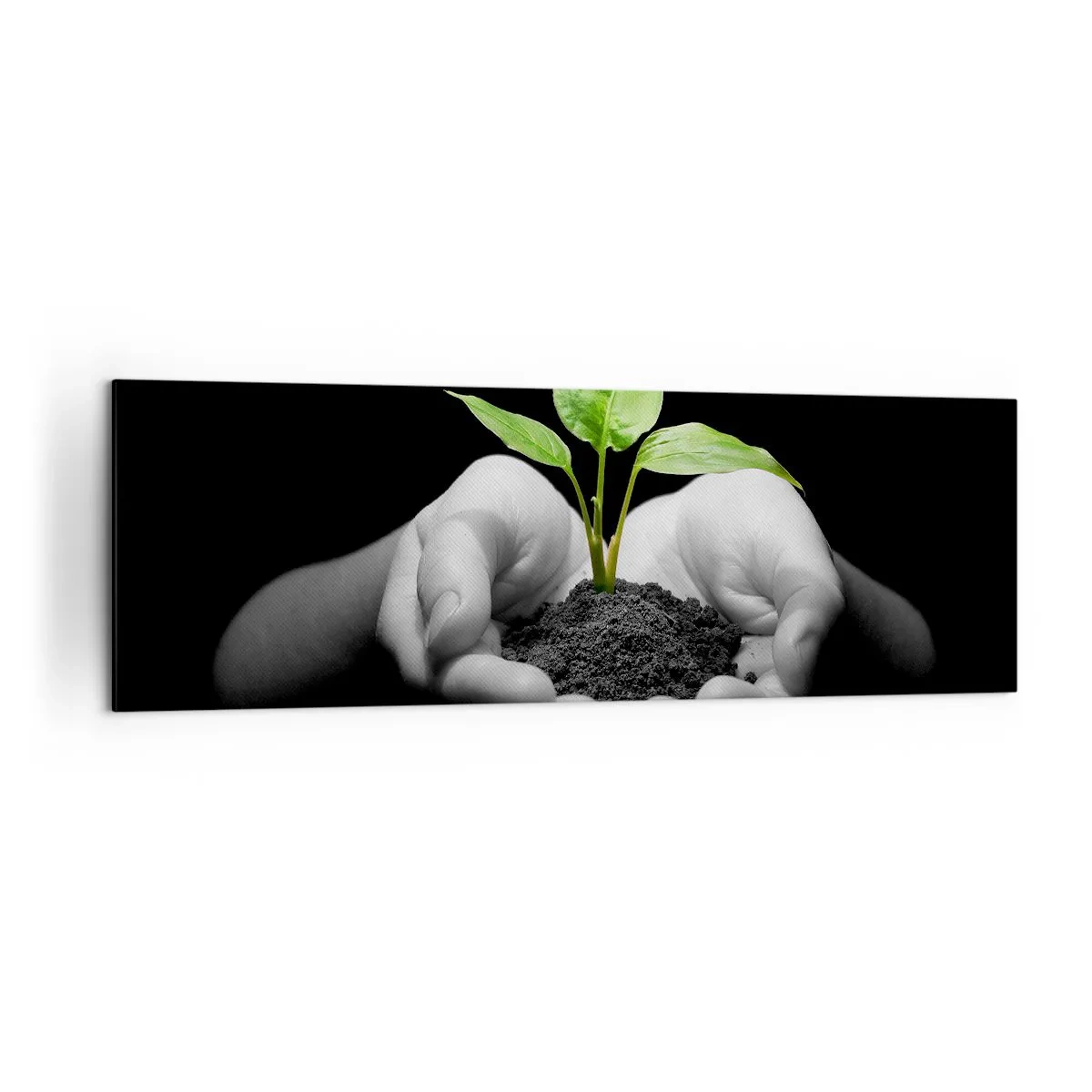 Quadro em tela - Eu amo a natureza, eu a protejo - 160x50 cm