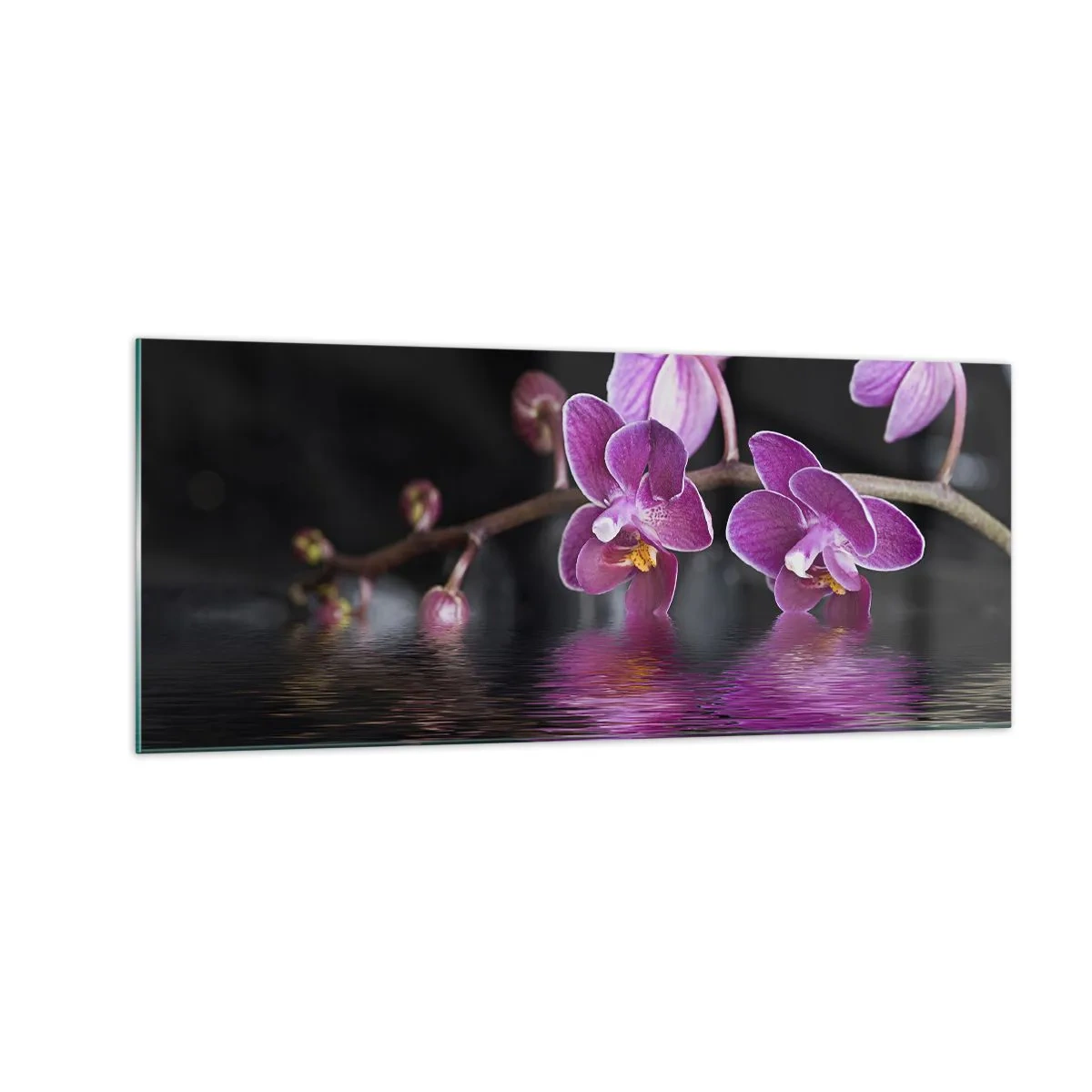 Quadro em vidro - Reflexo lilás da beleza - 100x40 cm