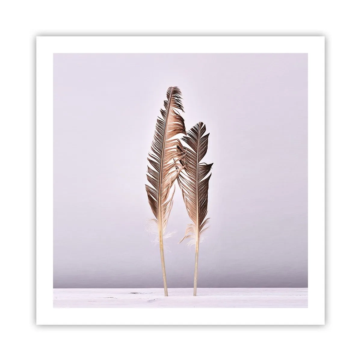 Pôster - Contra o nada - 60x60 cm