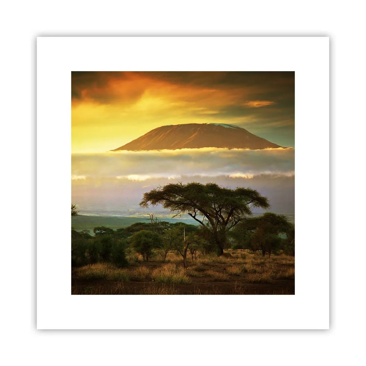 Pôster - O sonho do viajante - 30x30 cm