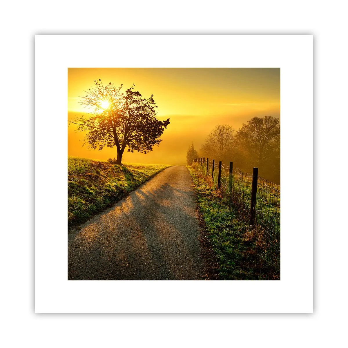 Pôster - Uma tarde agradável - 30x30 cm