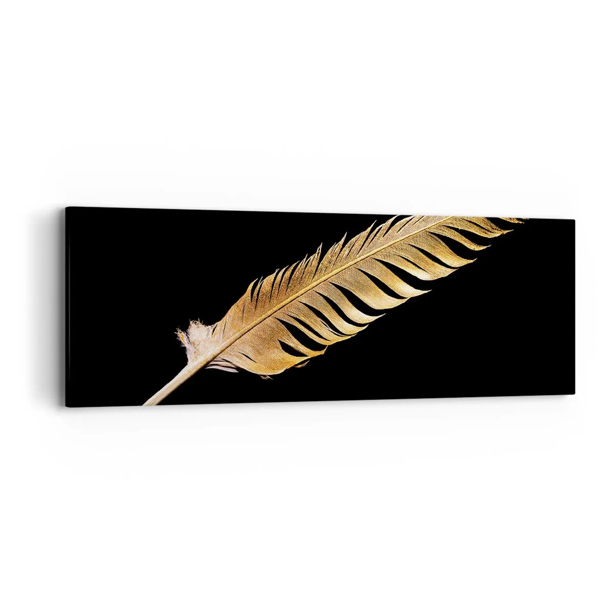 Quadro em tela - É uma pena - 90x30 cm