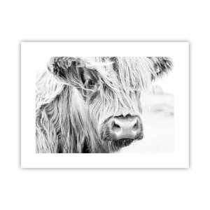 Pôster - Natureza selvagem escocesa - 40x30 cm