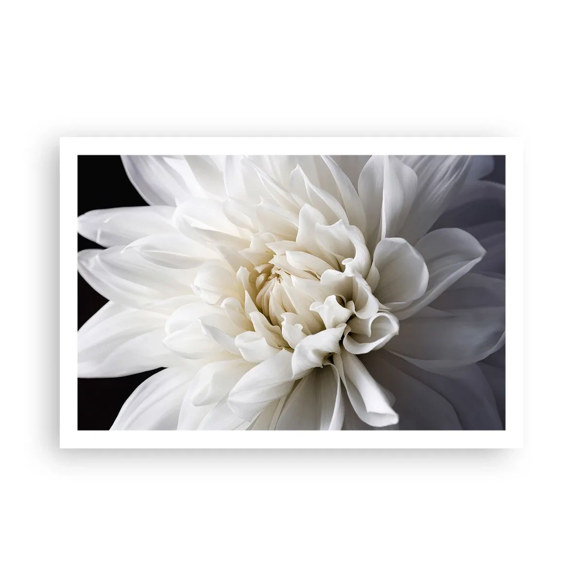 Pôster - Manhã da noiva - 91x61 cm