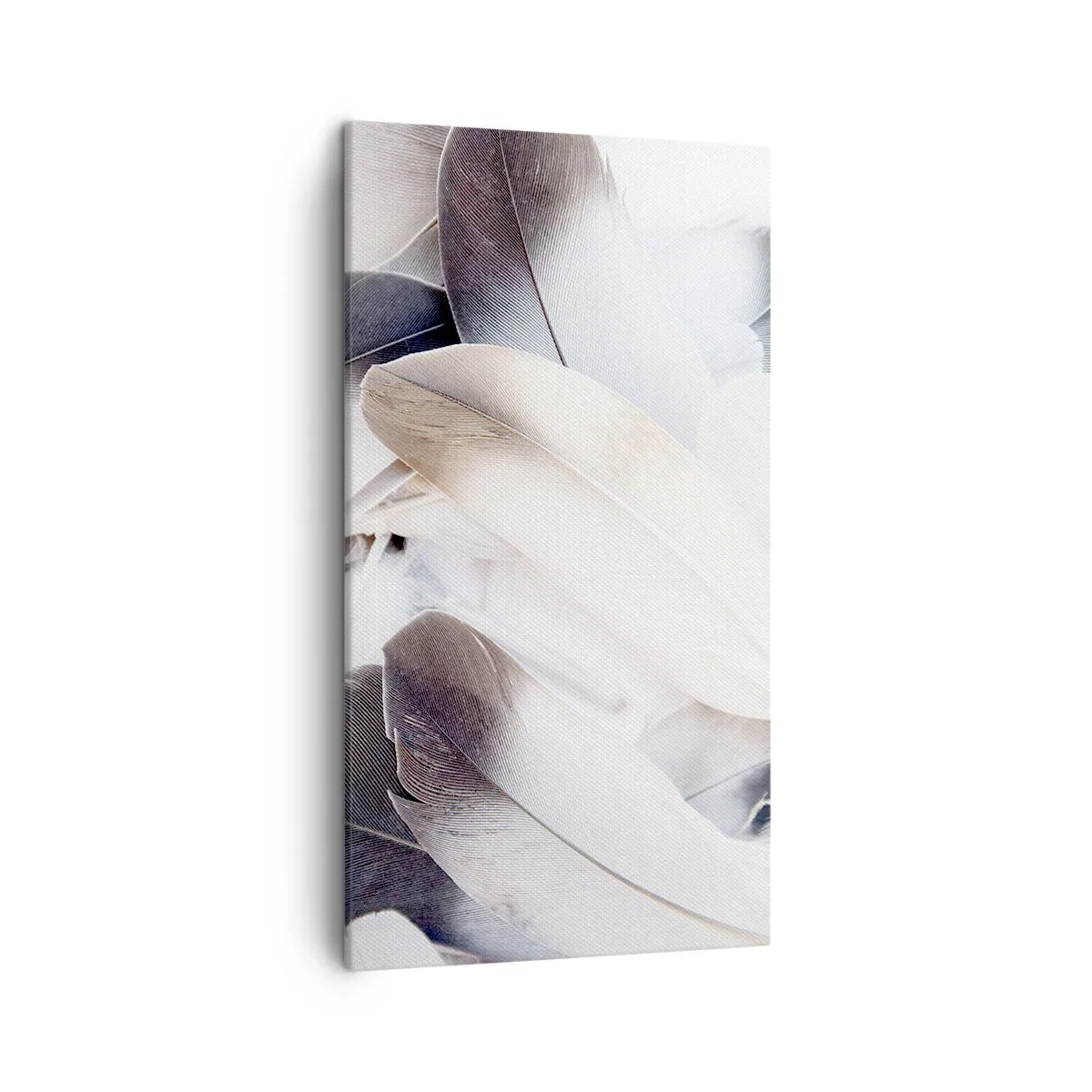 Quadro em tela - Semi-angelical - 45x80 cm