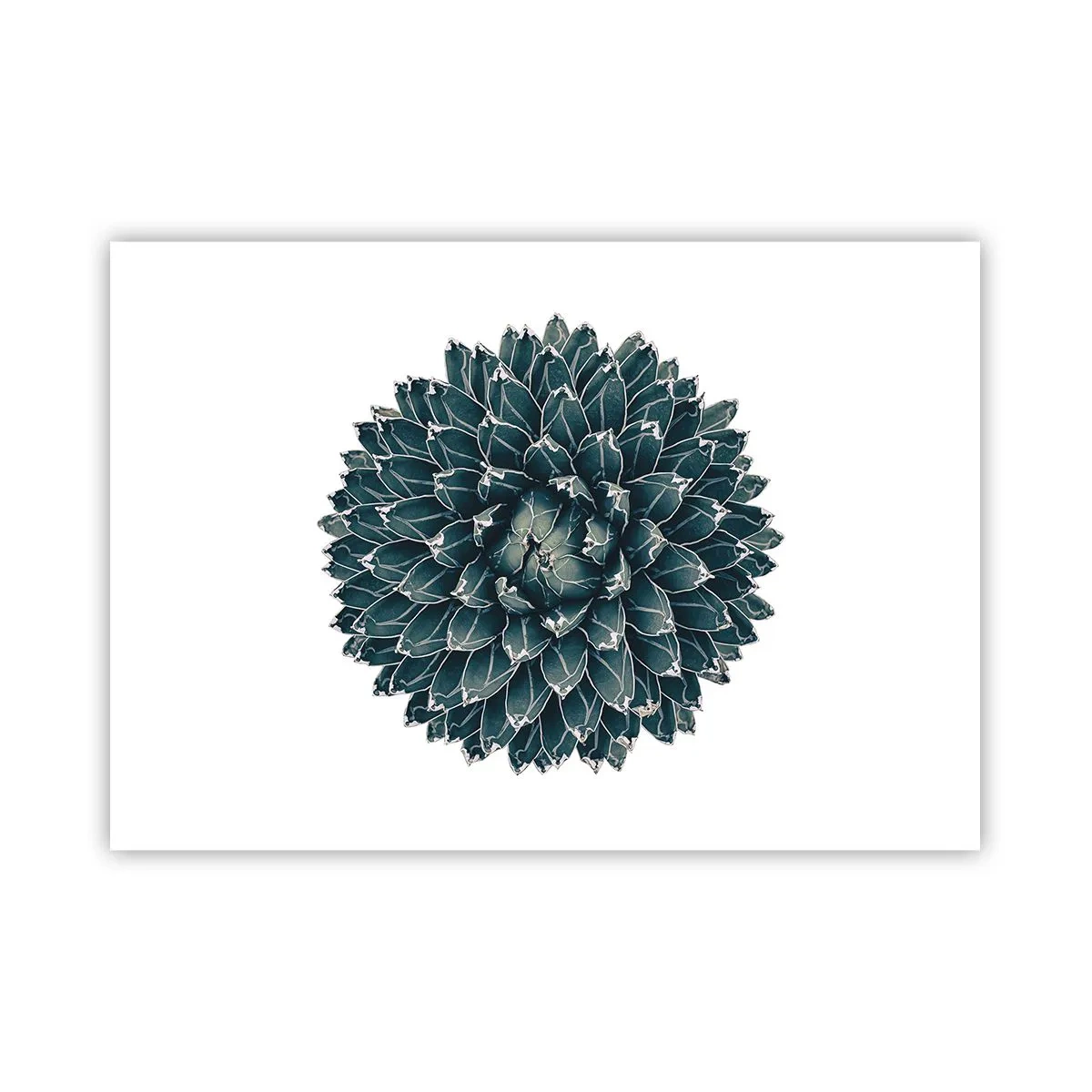 Pôster - Estrela do Deserto - 100x70 cm