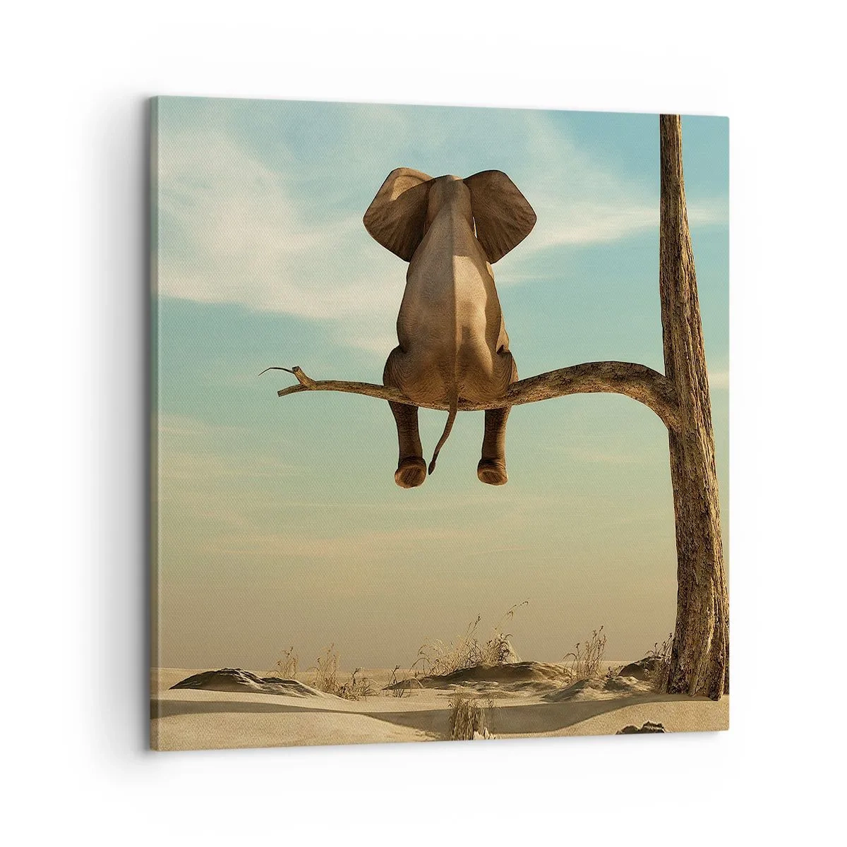 Quadro em tela - Um novo ponto de vista - 60x60 cm