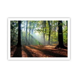 Pôster - Luzes e sombras - 91x61 cm