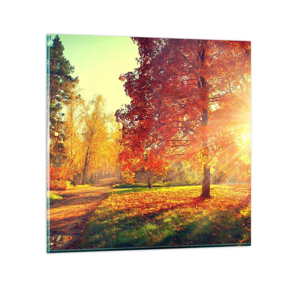 Quadro em vidro - O vermelho é lindo - 40x40 cm