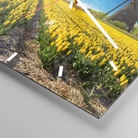 Mostrador com traços