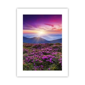 Pôster - Campo cheiroso - 30x40 cm