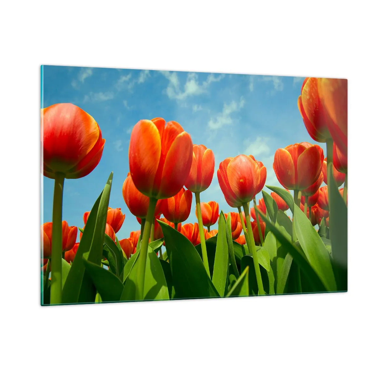 Quadro em vidro - Além do céu azul, nada mais é necessário na vida - 120x80 cm