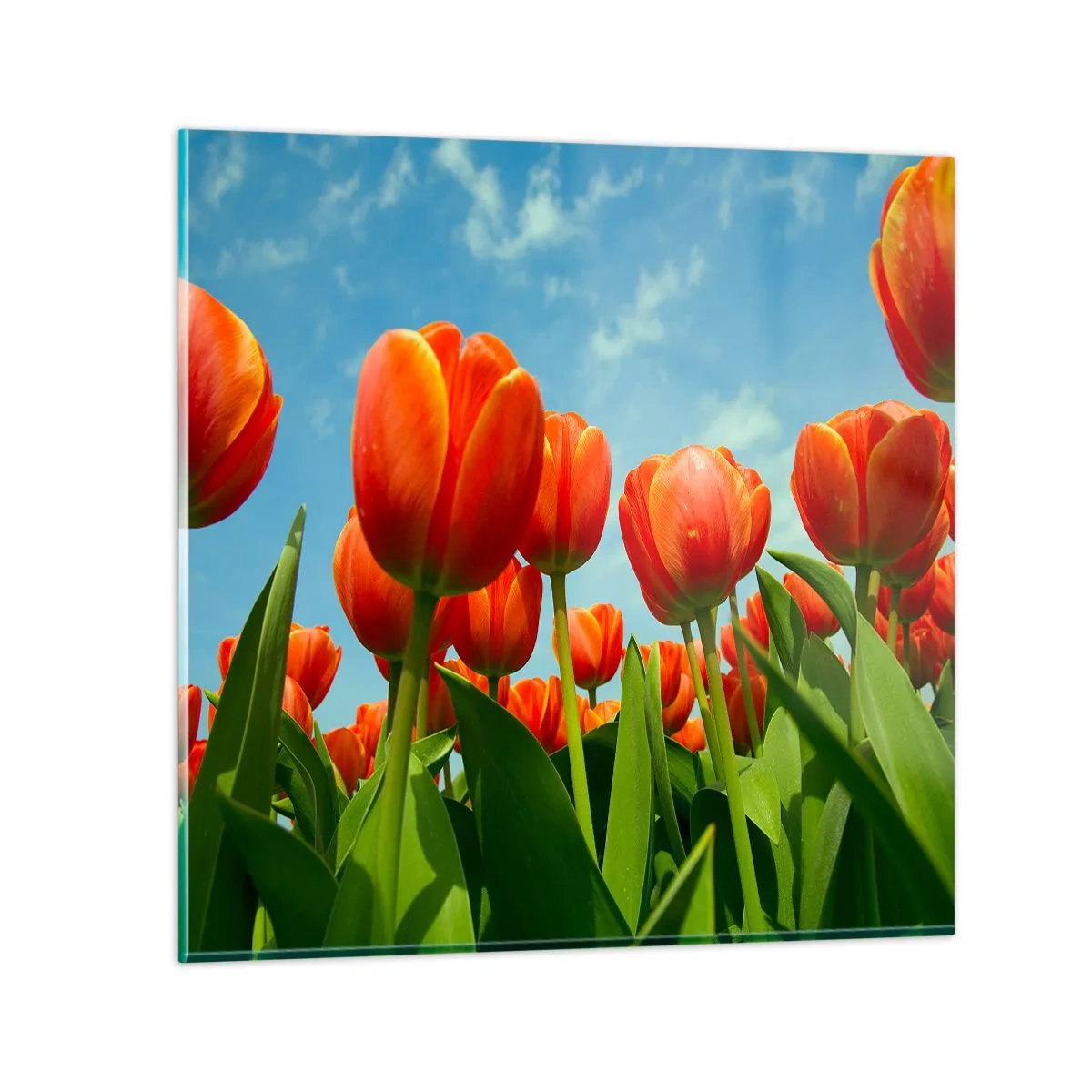 Quadro em vidro - Além do céu azul, nada mais é necessário na vida - 60x60 cm