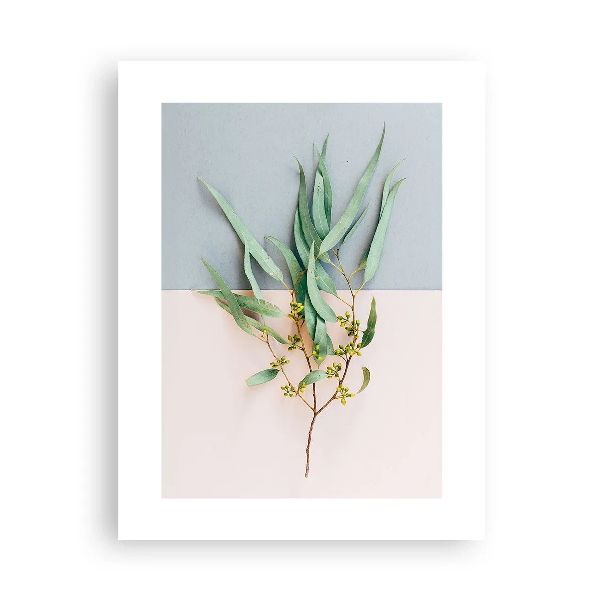 Pôster - Sutileza pastel - 30x40 cm