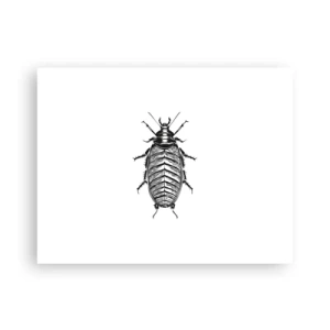 Pôster - Que exemplo! - 40x30 cm