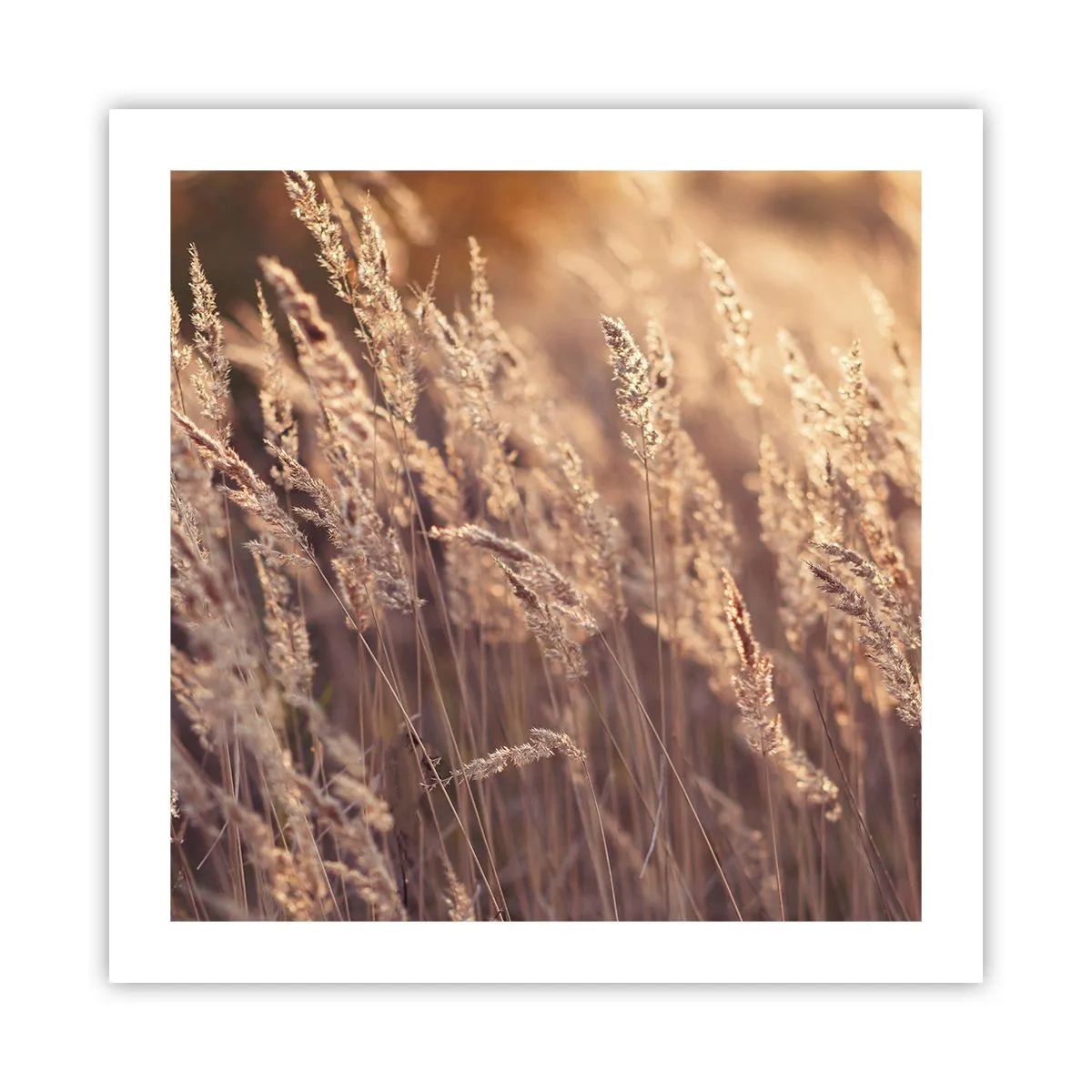 Pôster - Pronto para receber o outono - 50x50 cm