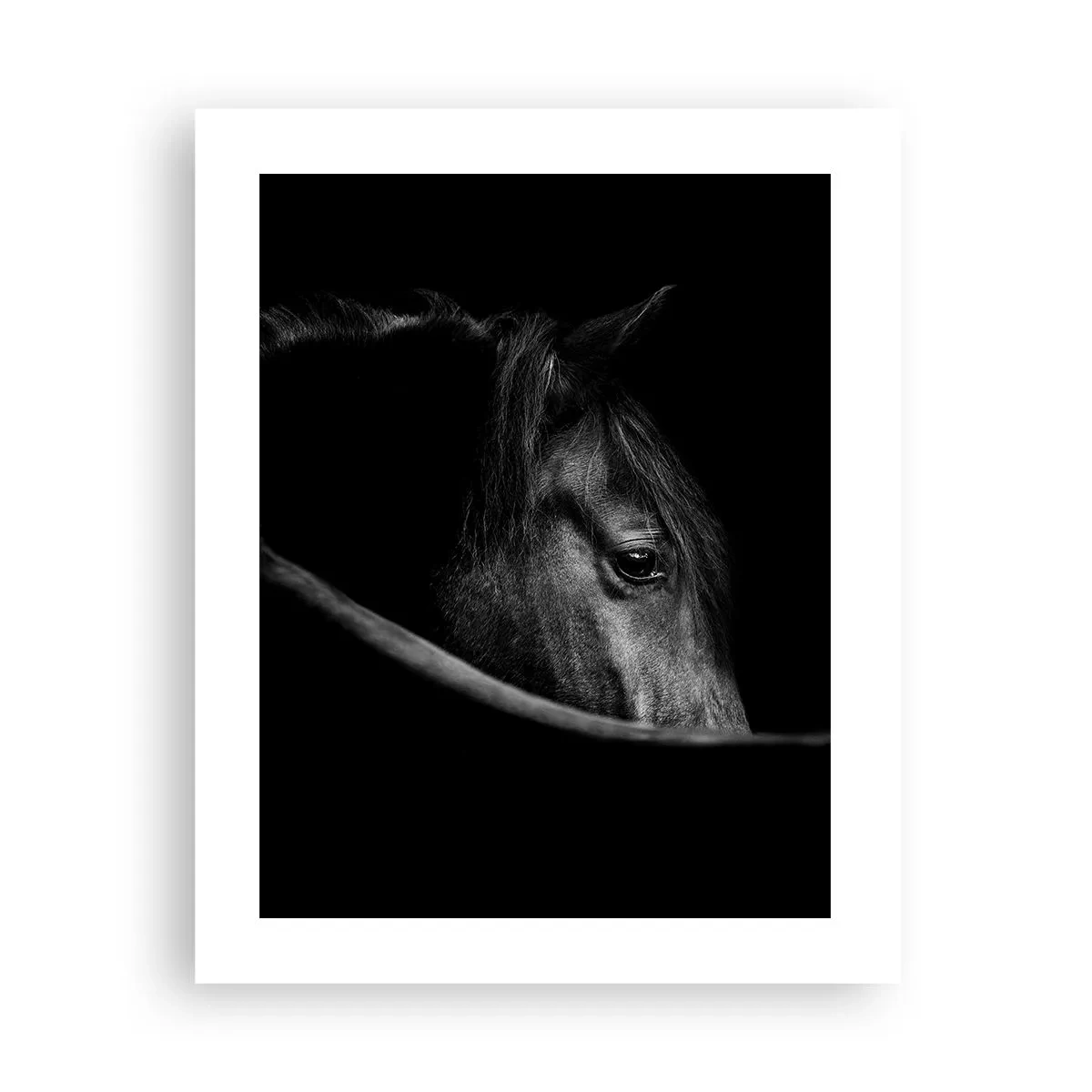 Pôster - Príncipe Negro - 40x50 cm