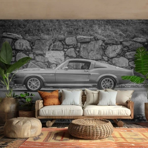 Papel de Parede Premium Sand - Lenda dos anos 60 - Carro antigo, Automotivo, Carro esportivo - 250x175 cm
