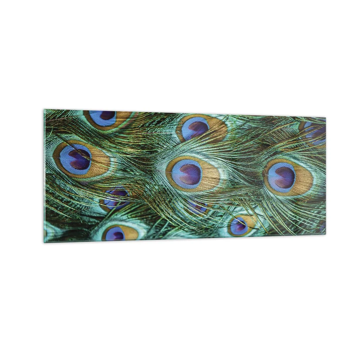 Quadro em vidro - Um olhar de pavão - 100x40 cm