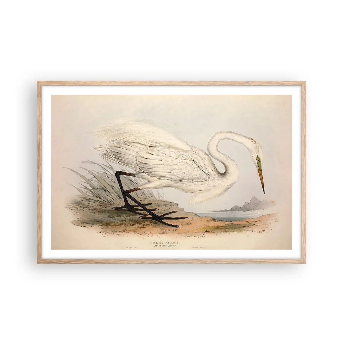 Pôster com moldura de carvalho claro - A senhora nos juncos - 91x61 cm